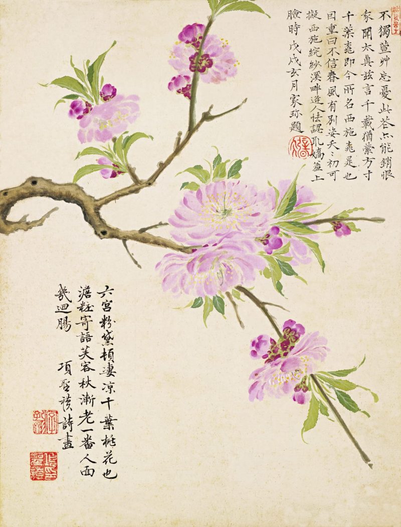 花卉