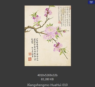 项圣漠-花卉