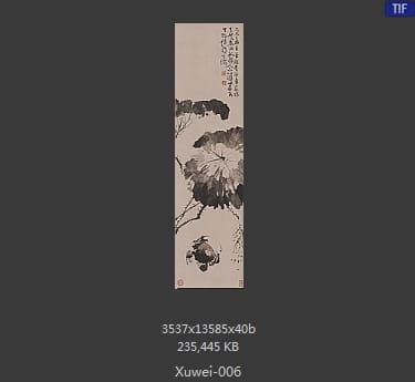 徐渭-黄甲图