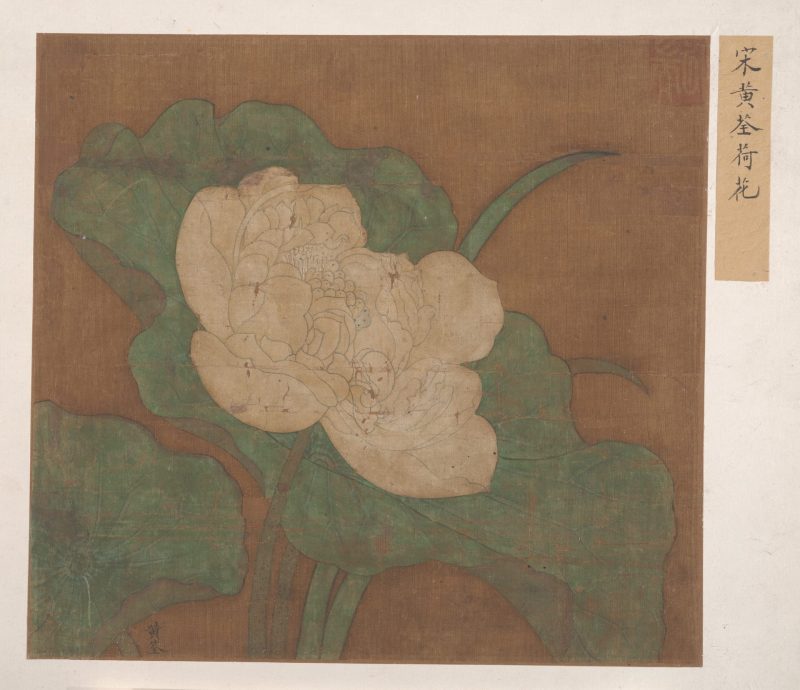 莲花图页