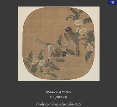 明代佚名-花卉双禽图