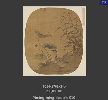 明代佚名-荷塘双鹅图