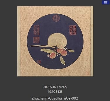 朱瞻基-瓜鼠图册页