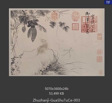 朱瞻基-瓜鼠图册页