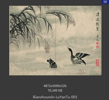 边寿民-芦雁图