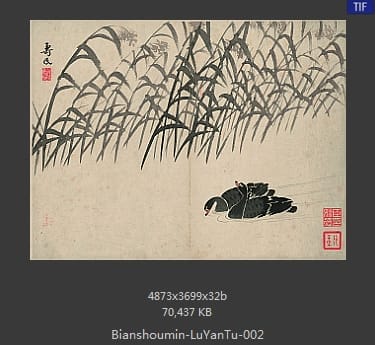 边寿民-芦雁图