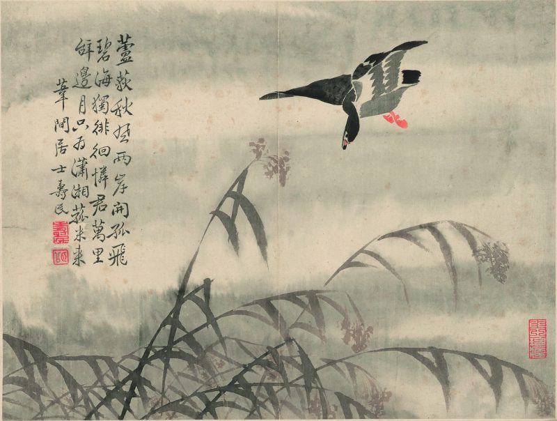 芦雁图