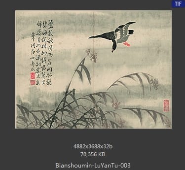 边寿民-芦雁图