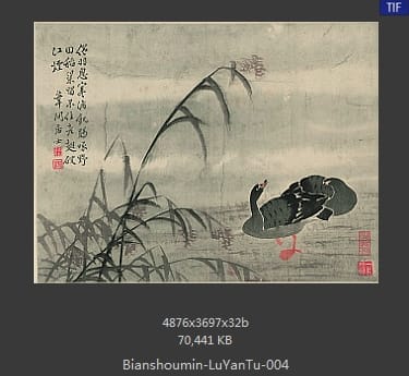 边寿民-芦雁图
