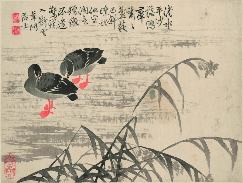 芦雁图