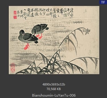 边寿民-芦雁图