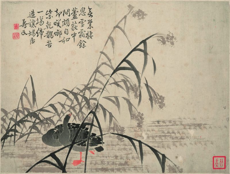 芦雁图