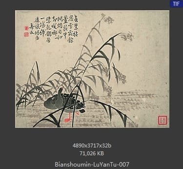 边寿民-芦雁图