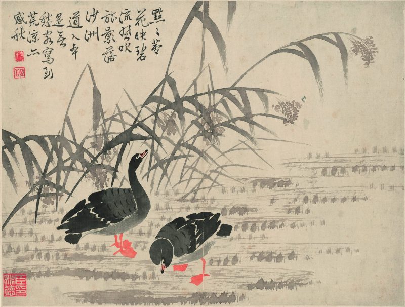 芦雁图