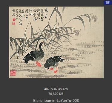 边寿民-芦雁图