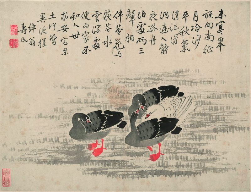 芦雁图