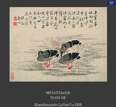 边寿民-芦雁图
