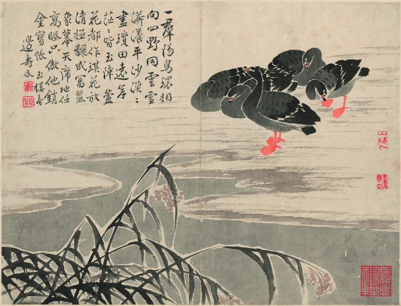 芦雁图