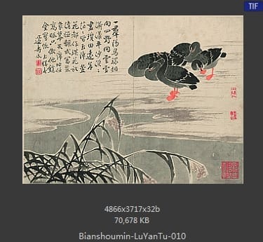 边寿民-芦雁图