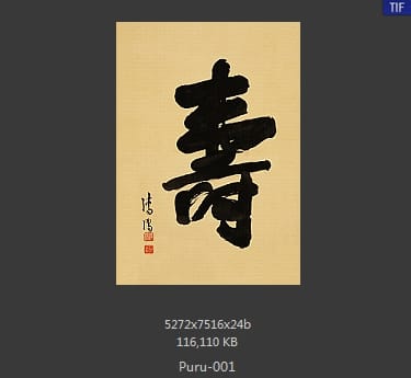 傅儒-寿