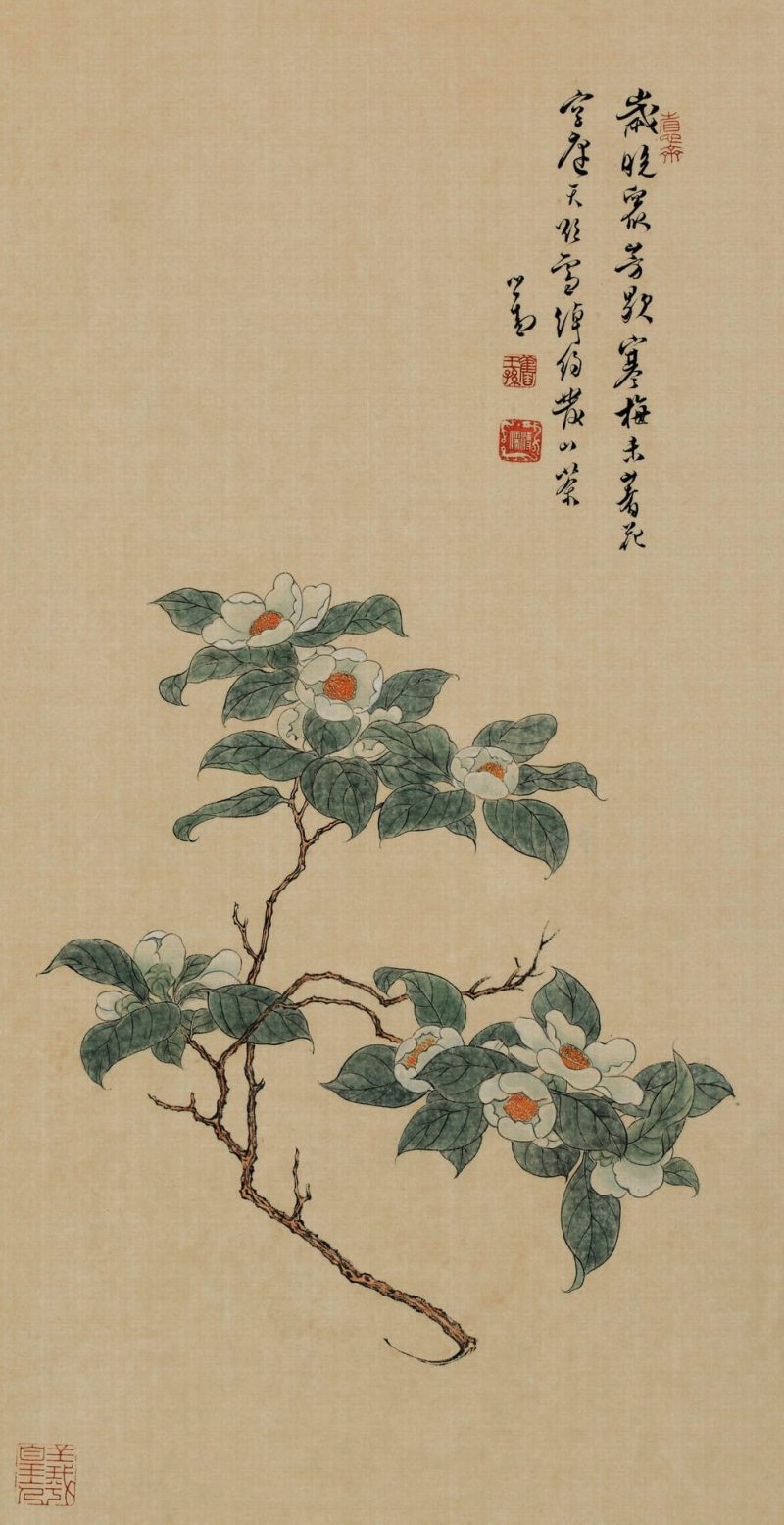 花卉