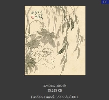 傅山 傅眉-山水花卉冊