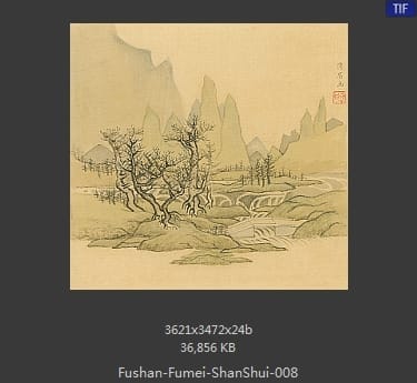 傅山 傅眉-山水花卉冊