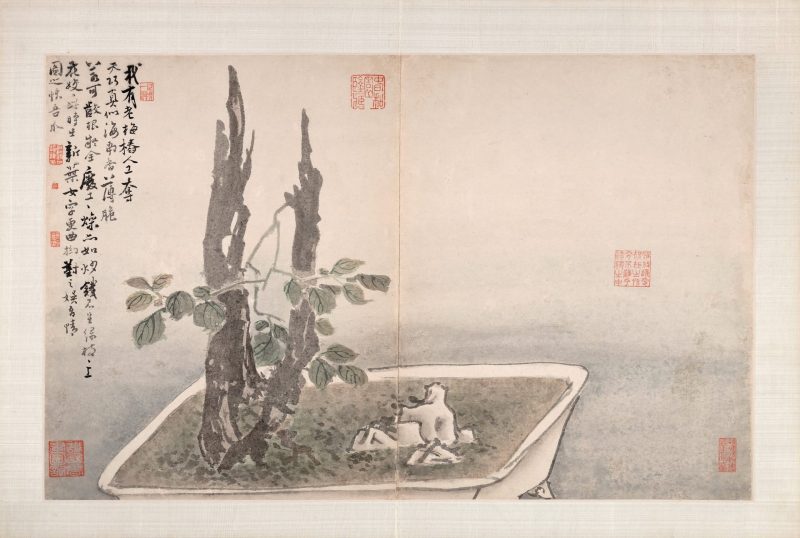 指画系列