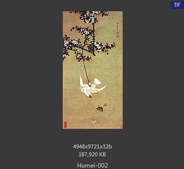 胡湄-鹦鹉戏蝶图