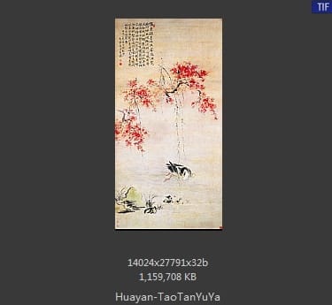 华岩-桃潭浴鸭图