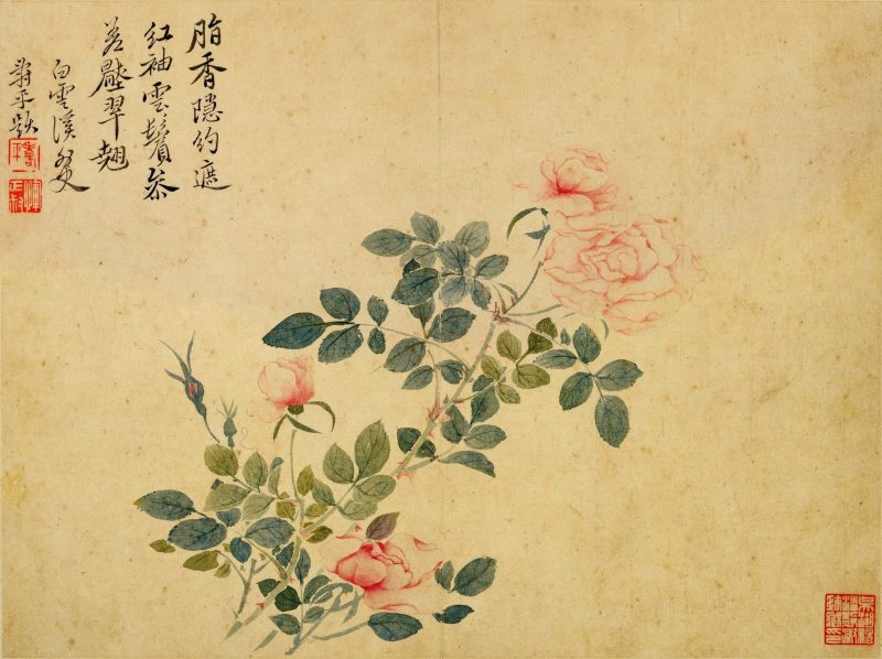 花鸟草虫八开