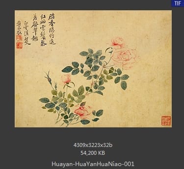 华岩-花鸟草虫八开