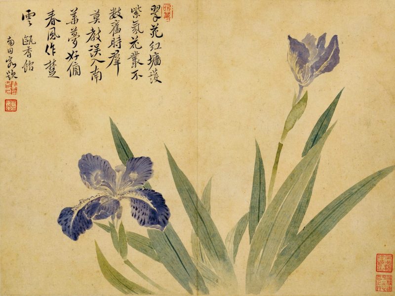 花鸟草虫八开