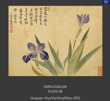 华岩-花鸟草虫八开