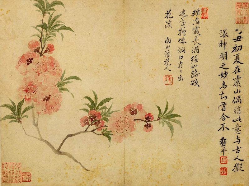 花鸟草虫八开