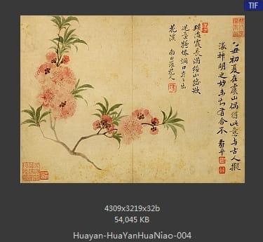 华岩-花鸟草虫八开