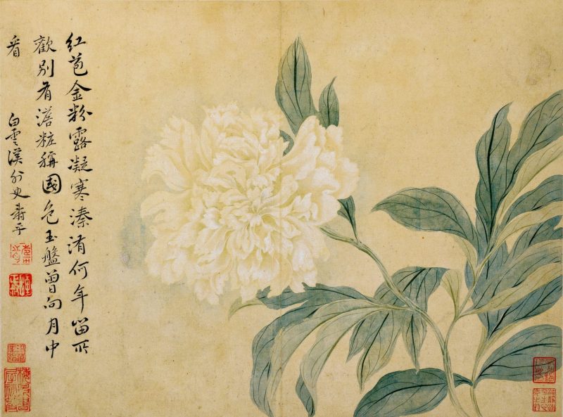 花鸟草虫八开