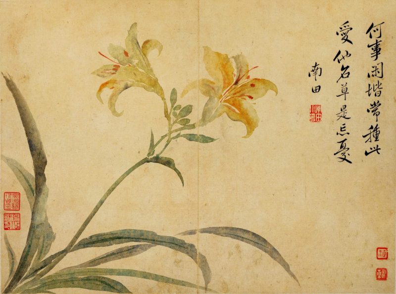花鸟草虫八开