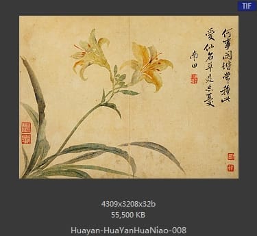 华岩-花鸟草虫八开