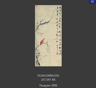 华岩-高枝好鸟图