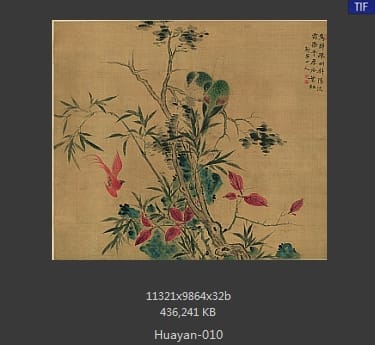 华岩-疏树归禽图