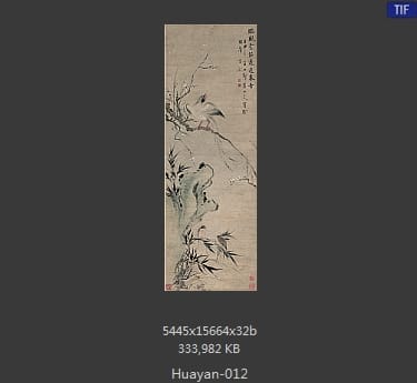 华岩-花鸟