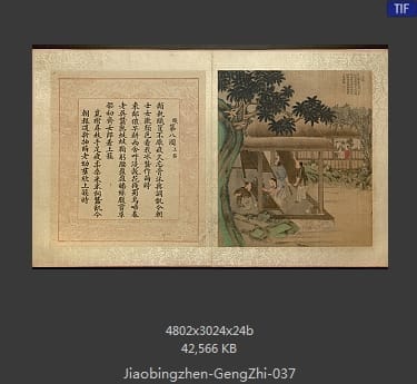 焦秉贞-耕织图册