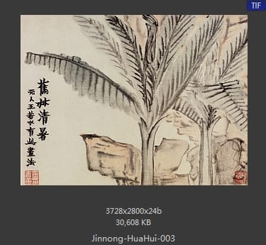 金农-花卉册