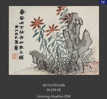 金农-花卉册