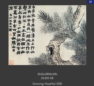 金农-花卉册