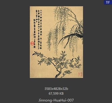 金农-花卉册