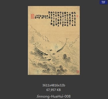 金农-花卉册