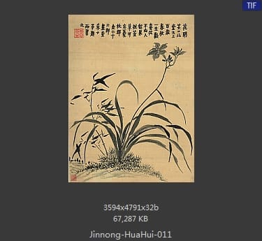 金农-花卉册
