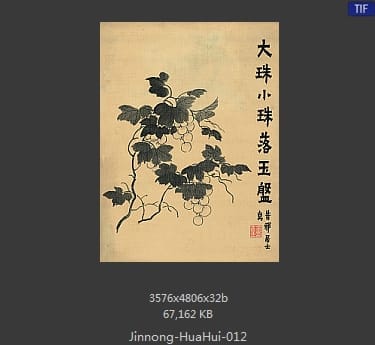 金农-花卉册